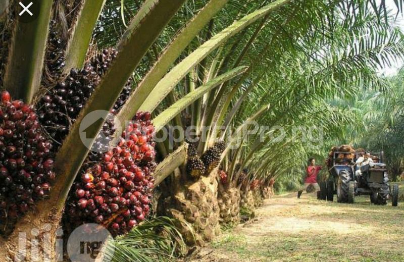 Land for sale Ipokia Near Idi Iroko Adatan Abeokuta Ogun