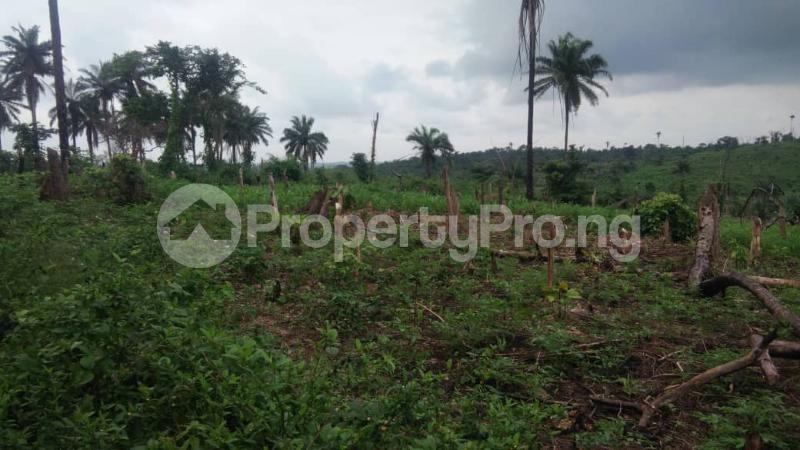 Land for sale Korukoru Closed To Orita Merin After Olohunda Akobo Akobo Ibadan Oyo