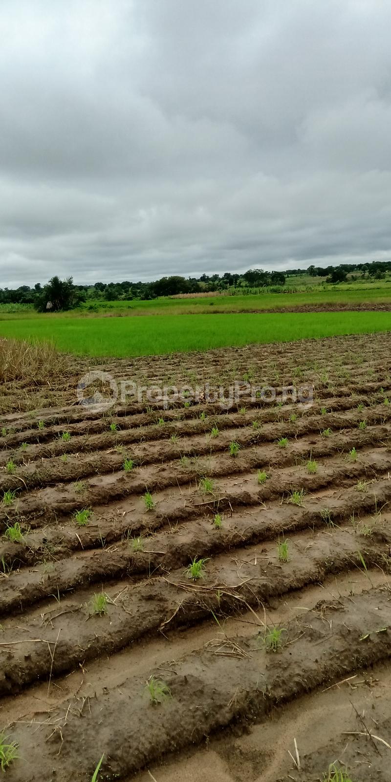 Land for sale Beside Railway Kachia Kaduna