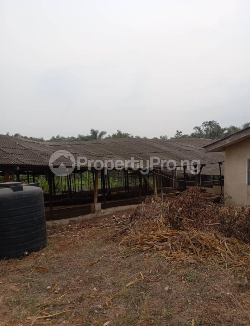 Land for sale @ Ebute Area, Ibafo, Off Lagos/ibadan Expressway, Ogun State Ibafo Obafemi Owode Ogun