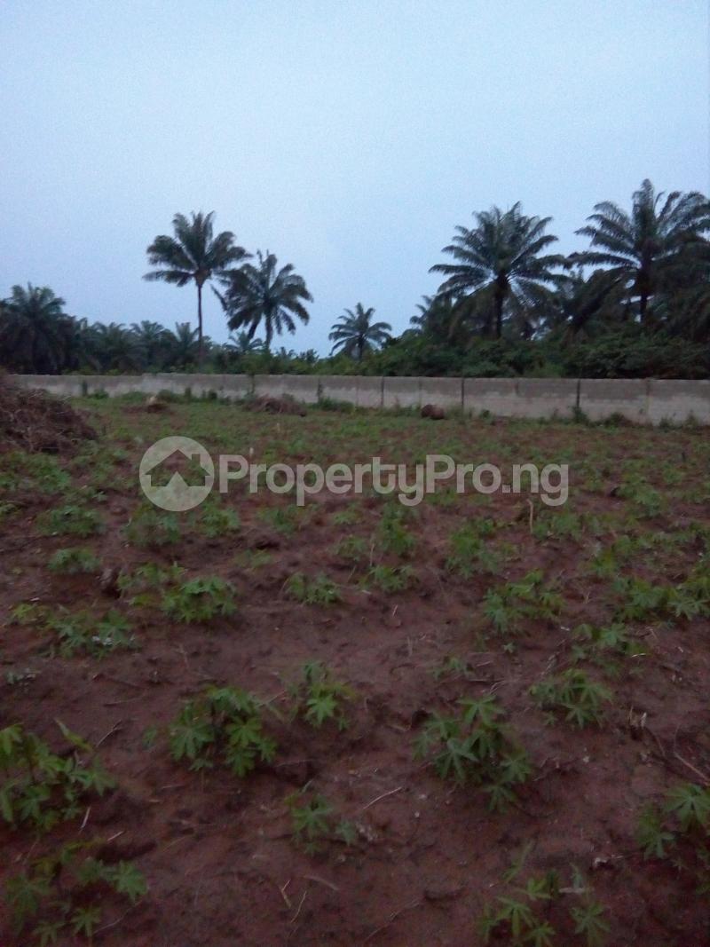 Land for sale Km 5, Avu Obosima Road, After Deeper Life, Near Nigeria Medical Association (nma) Proposed Estate, Opposite Tehilla Gardens Estate Owerri Imo - 4