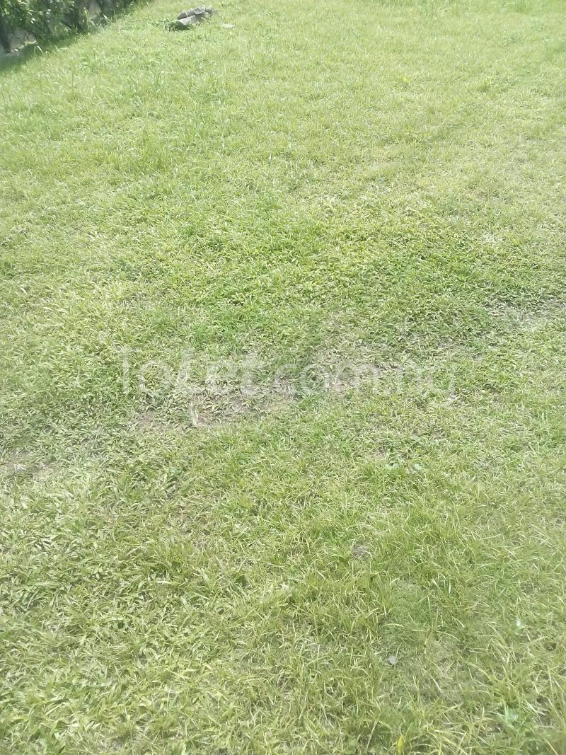 Land for sale   Thomas estate Ajah Lagos
