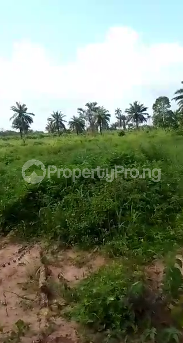 Land for sale Epe Lagos