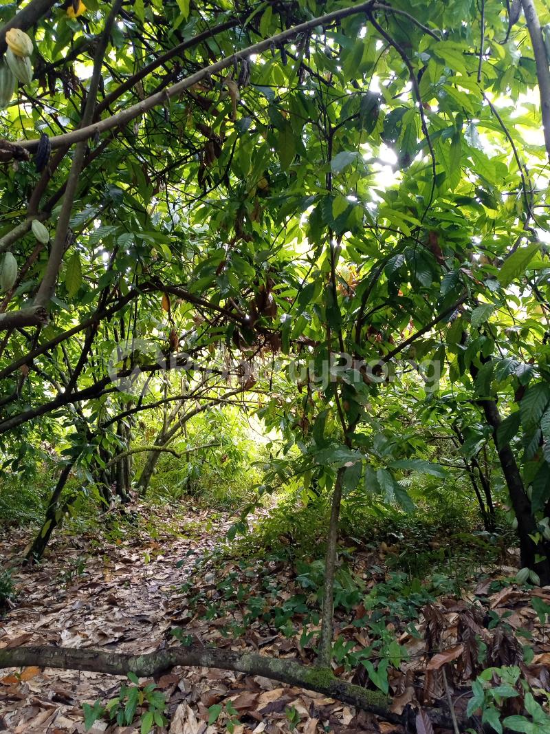 Land for sale Asam Bush. Land Borders Kpansia Market, Opolo, Elebele Yenegoa Bayelsa