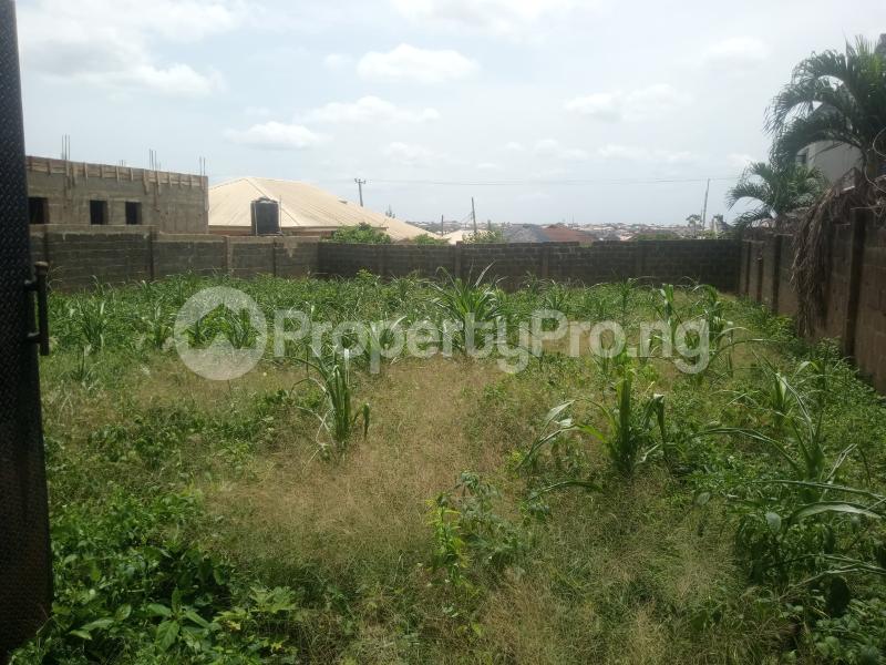 Land for sale Alafia Street, Off Olayiwola Avenue, Omolayo Estate, Akobo Ibadan Oyo