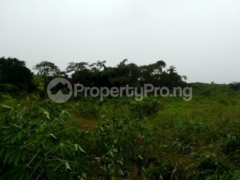 Land in Epe Road Epe Lagos Land for sale in epe Land in epe