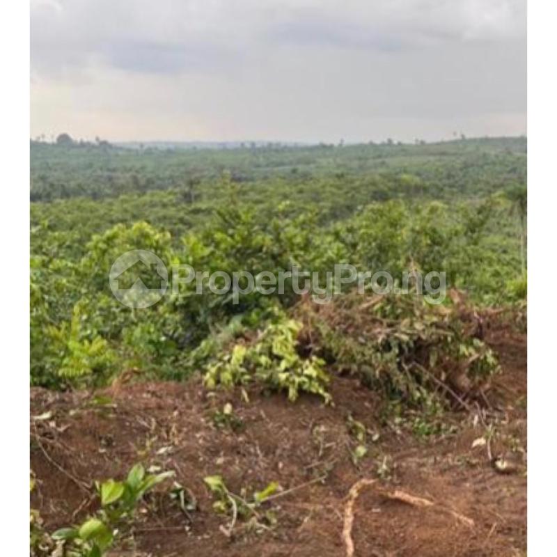 Land for sale Odo Irangushi Epe Lagos