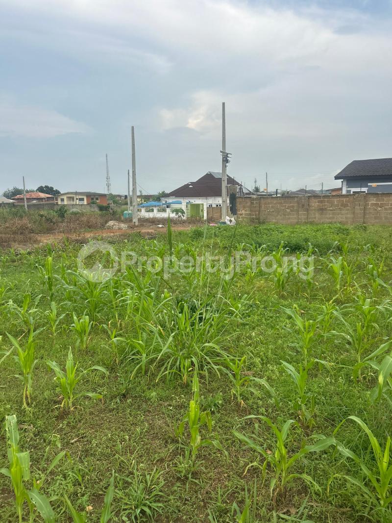 Land for sale 500sqn Cut Out Parcel Of Land Nicely Laid Oowode Gra, New Akala Express, Kuola, Ibadan Akala Express Ibadan Oyo