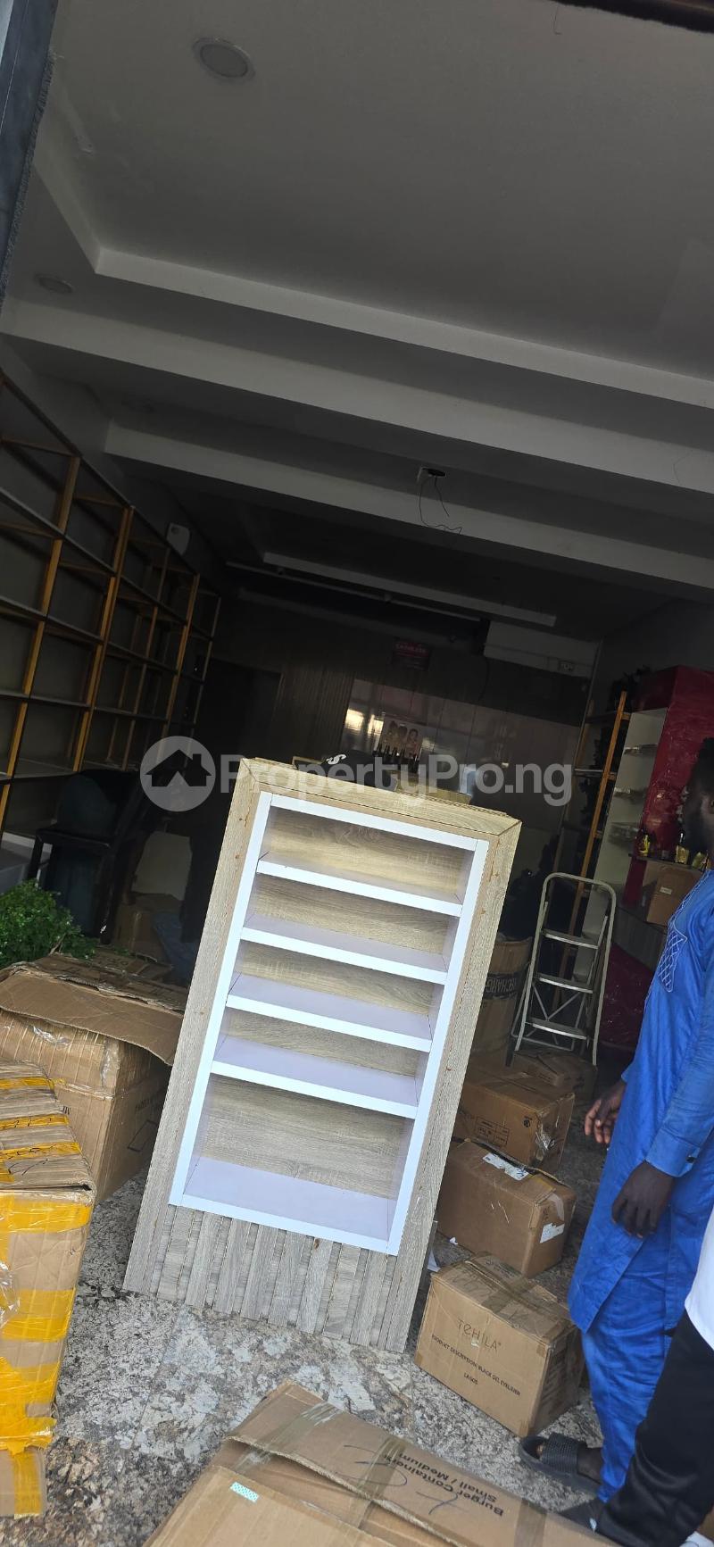 Commercial Property for rent Ademola Adetukumbo Wuse 2 Abuja