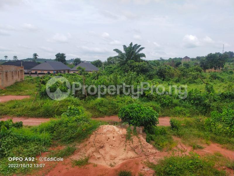 Land for sale Ovbiogbe Community Along Benin Lagos Express Way Ovia South-East Edo - 0