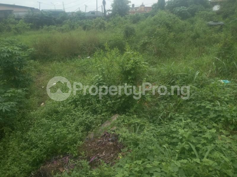Land for sale Maplewood Estate Oko oba Agege Lagos