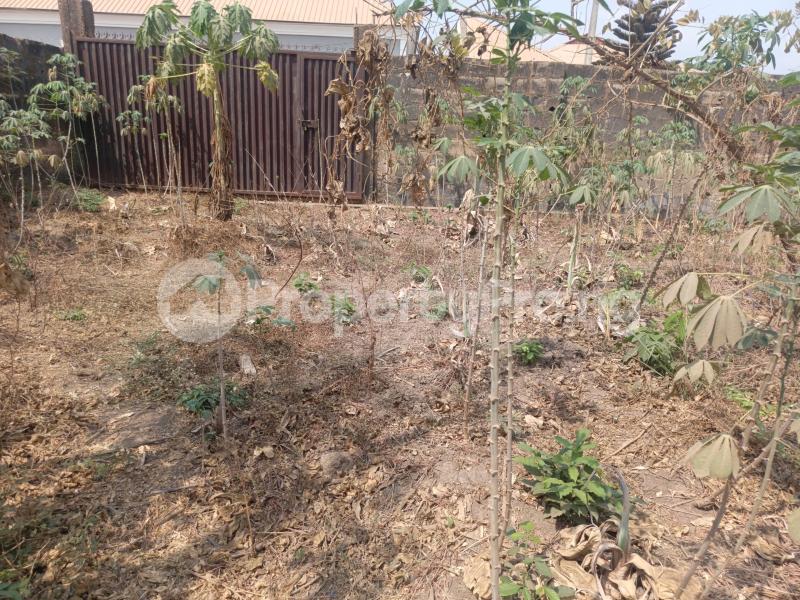 Land for sale 2nd Plot To The Elebu Road, Just After Bendel Filling Station Akala Express Ibadan Oyo - 0