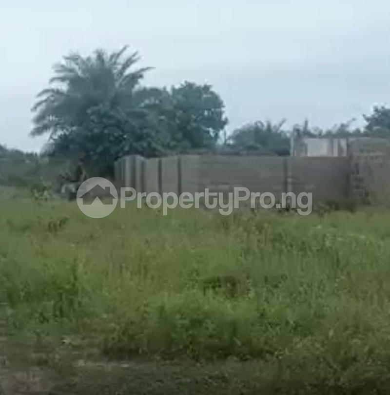 Land for sale Ibeju-Lekki Lagos - 0