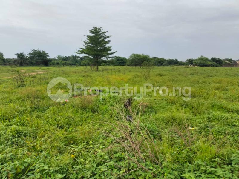 Land for sale Lagos Ibadan Express Challenge Ibadan Oyo