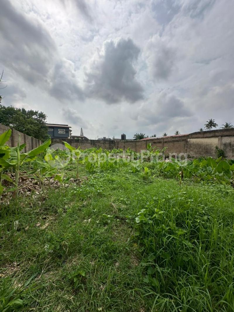 Land for sale Adenuga St New Ibadan Oyo