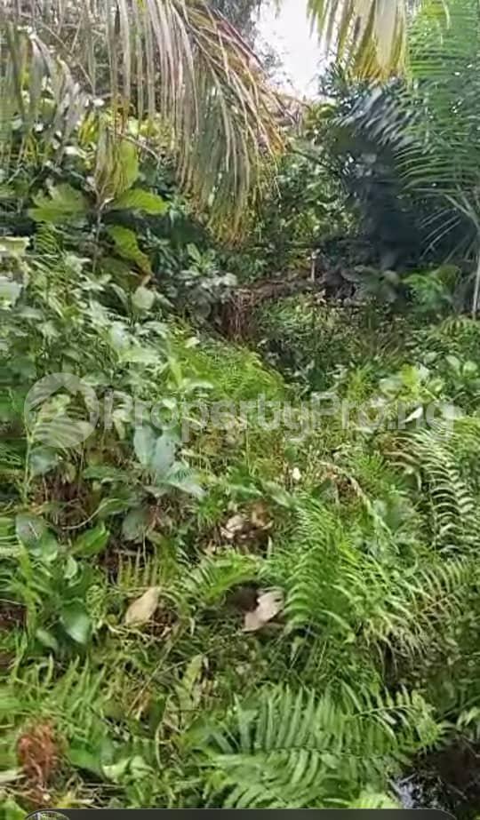 Land for sale Temu Ojota Waterside, Epe Epe Road Epe Lagos