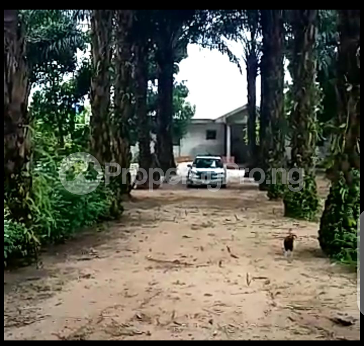 Land for sale Nvuigwe, Woji, Port Harcourt. Obio-Akpor Rivers