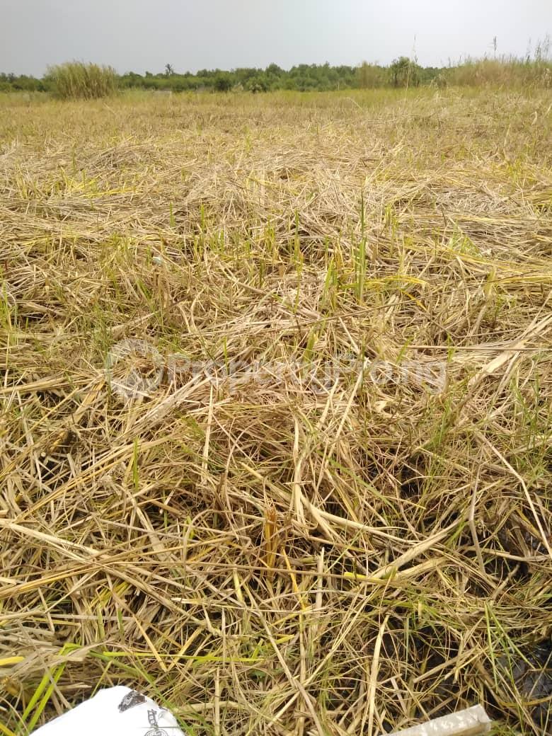 Land for sale Badore,ajah Lekki.opposite Cooperative Villa Lekki Lagos - 0