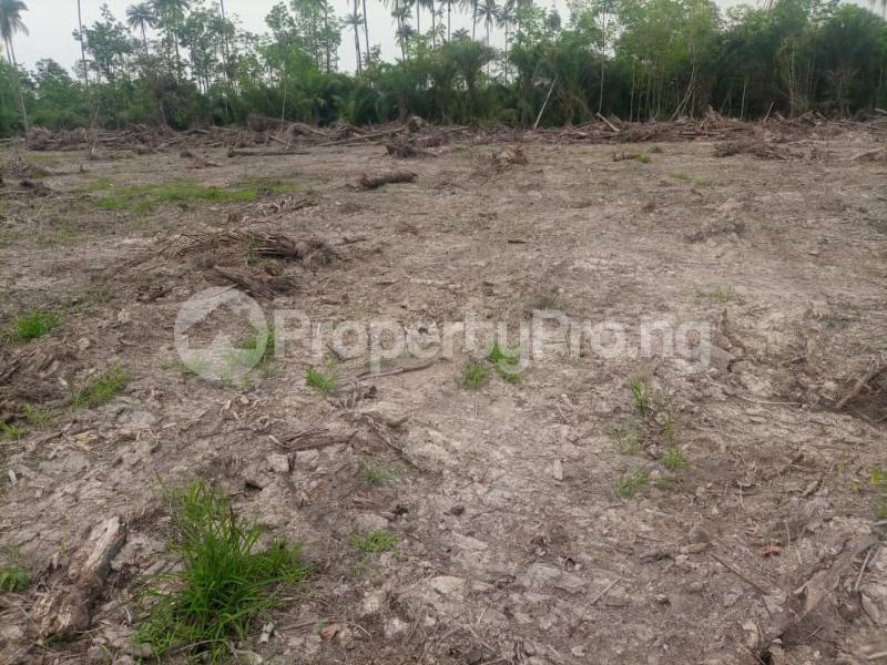 Land in Ughelli North Delta Land for sale in ughellinorth Land in