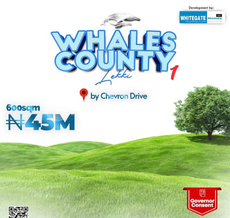 Land for sale Lekki Lagos