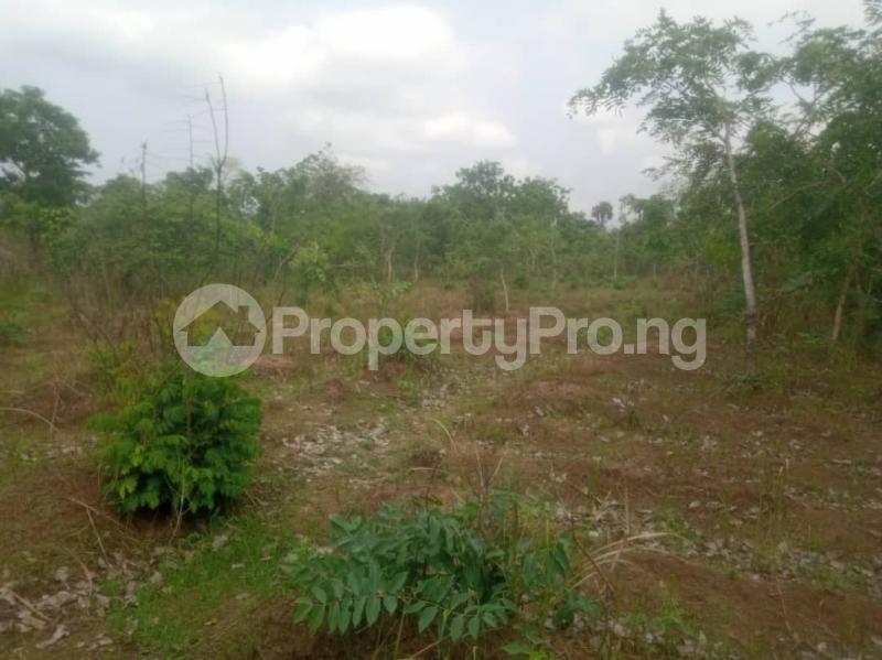 Land in Awka North Anambra Land for sale in awkanorth Land in awka