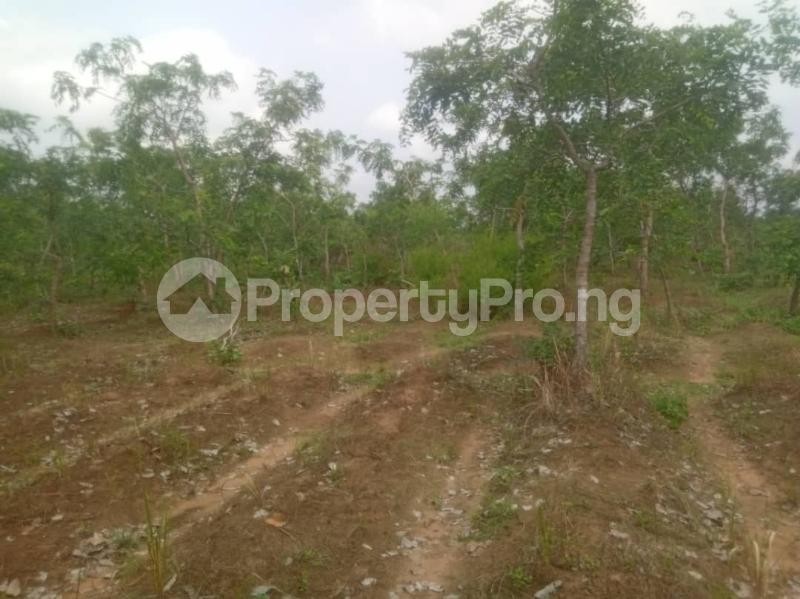 Land in Awka North Anambra Land for sale in awkanorth Land in awka