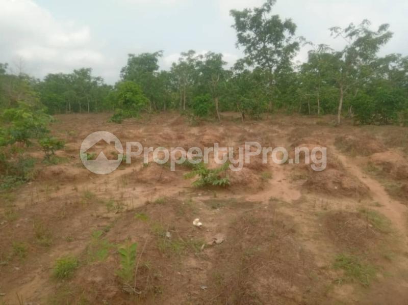 Land in Awka North Anambra Land for sale in awkanorth Land in awka
