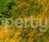 1 bedroom Land for sale Ologolo Lekki Ologolo Lekki Lagos