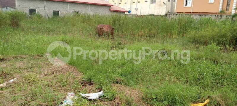 Land for sale Cannan Estate Sangotedo Canaan Estate Ajah Lagos