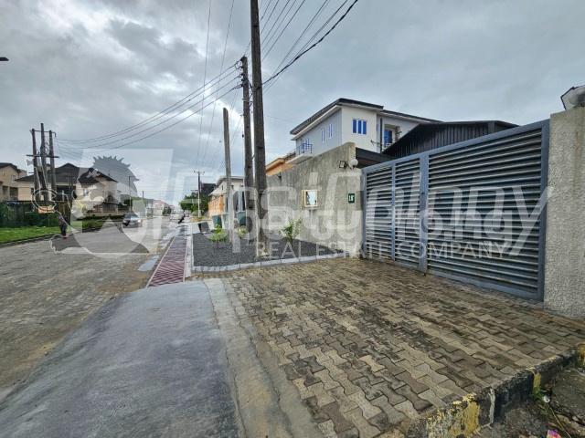 Land for sale Lekki Phase 1 Lekki Lagos - 0