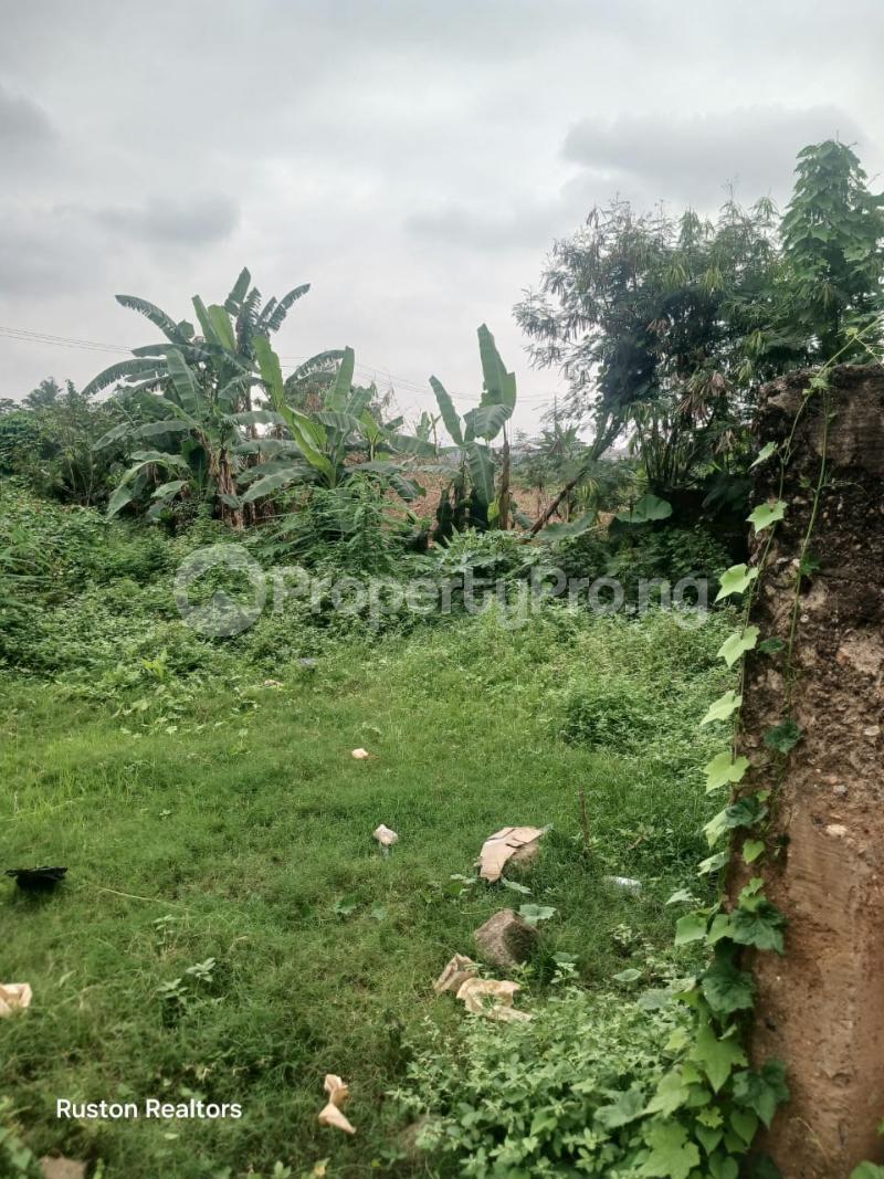 Land for sale Ologolo Lekki Ologolo Lekki Lagos