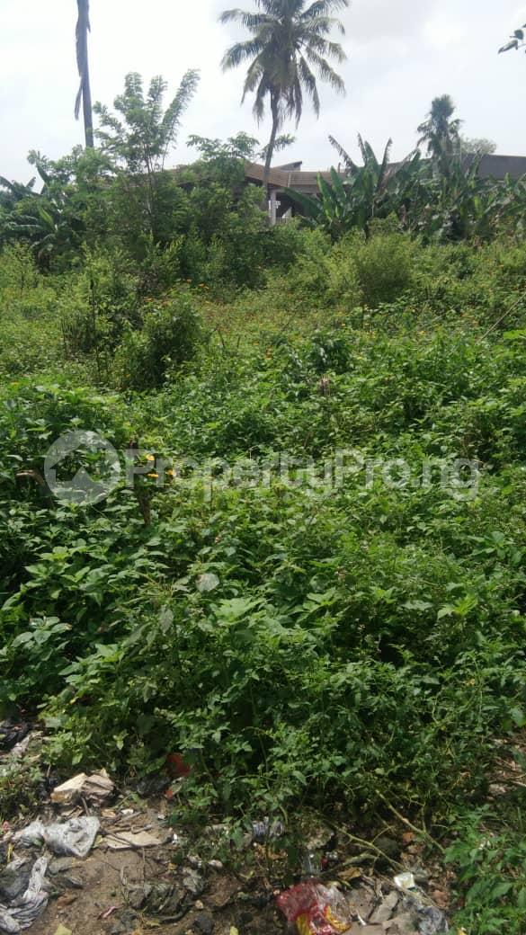 Land for sale Lagos/ibadan Express Way Iwo Rd Ibadan Oyo