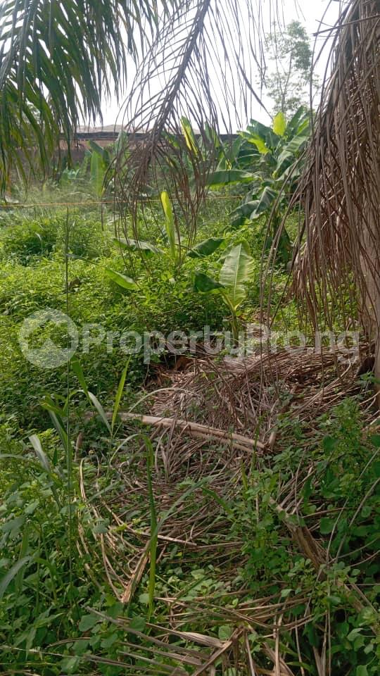 Land for sale Labak Estate Abule Egba Lagos
