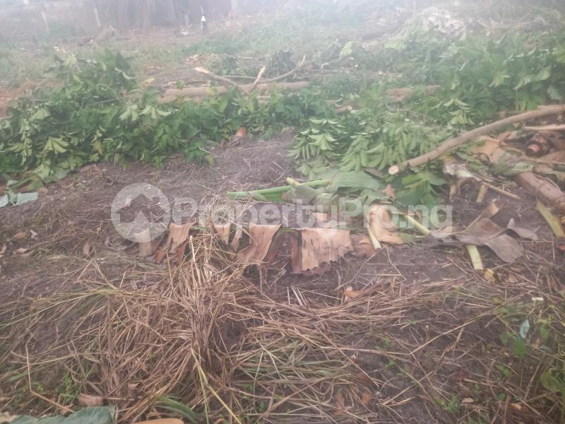 Land for sale Labak Estate Oko oba Agege Lagos - 0