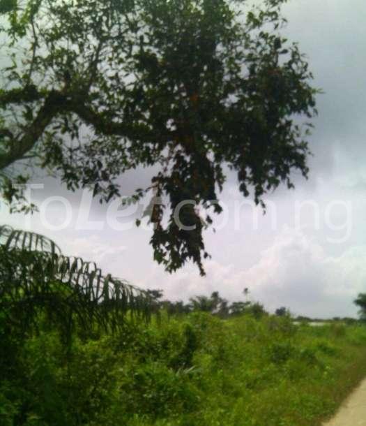 Land for sale Epe, Lagos Epe Lagos - 0