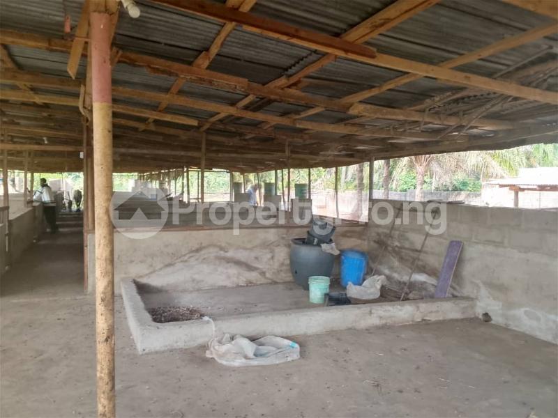 Land for sale Olojede Village Lagun Area Iyalan Ofa Ibadan Oyo