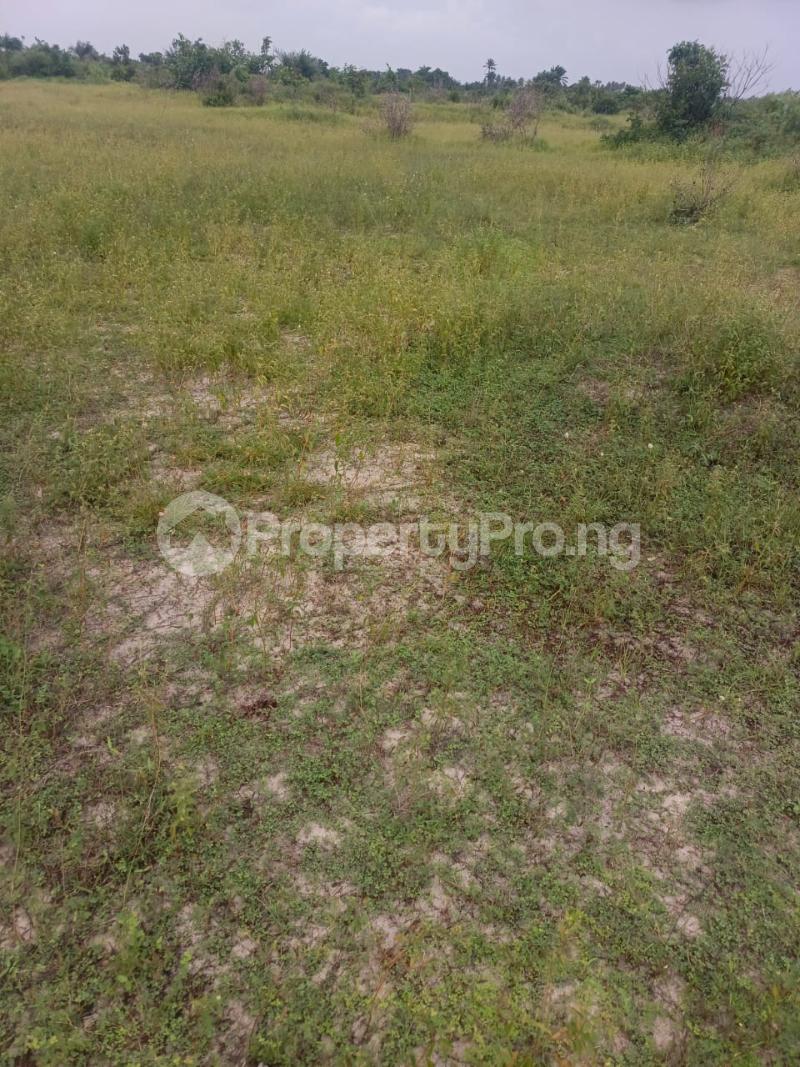 Land for sale Dangote Refinery Eleko Ibeju-Lekki Lagos