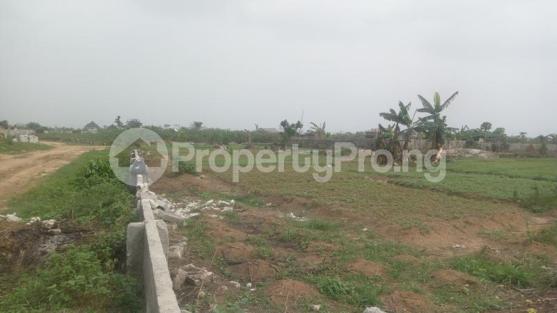 Land for sale Airforce Eliosu Expressway Eliozu Port Harcourt Rivers - 0