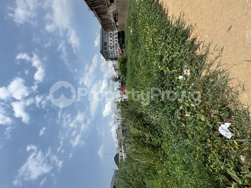 10 bedroom Land for sale Amore Street Freedom, Freedom Way Lekki Lagos