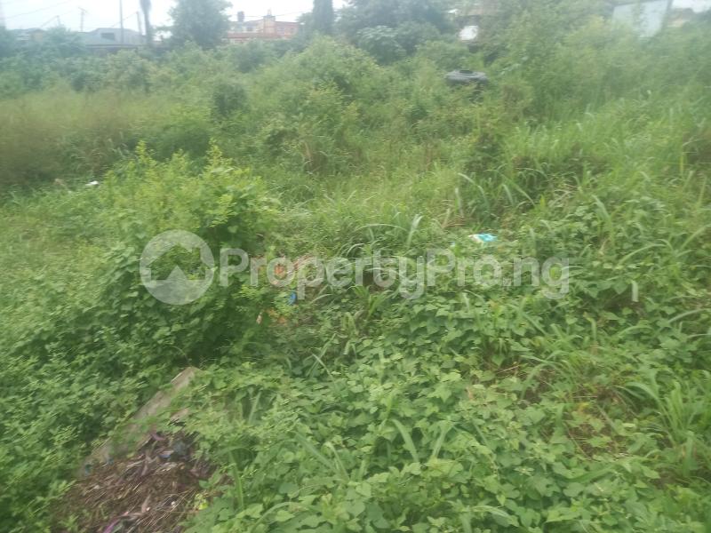 Land for sale Greenhill Estate Oko oba Agege Lagos