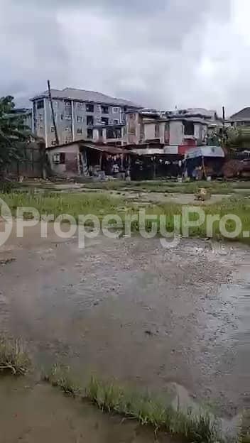Land for sale Amuwo Odofin Industrial Estate, Amuwo Odofin Amuwo Odofin Lagos - 0