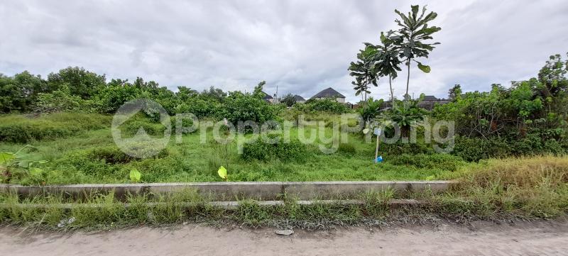 Land for sale Ilaje Lekki Phase 2 Lekki Lagos - 0