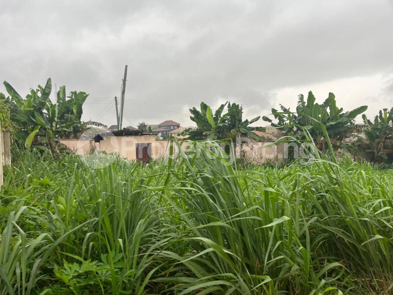 Land for sale Brooks Estate Magodo Kosofe/Ikosi Lagos