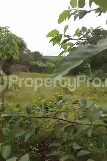 Land for sale Alatise Ibeju-Lekki Lagos