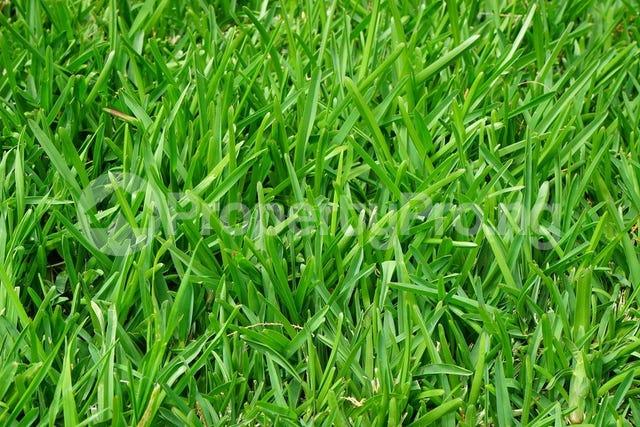 Land for sale Nicon Town Ikate Lekki Lagos