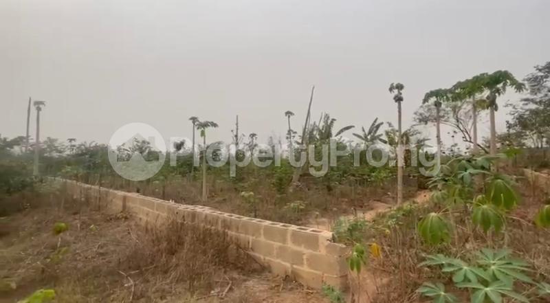 Land for sale Owode Gra, Apata Ibadan Oyo - 0