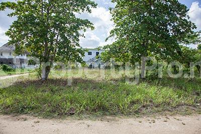 Land for sale Block 52b On Omorinre Johnson Street Lekki Phase 1 Lekki Lagos