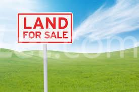 Land for sale Chevy View Estate Road. chevron Lekki Lagos