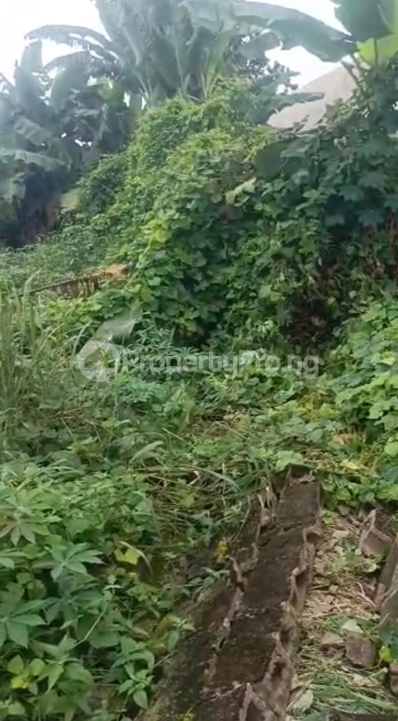 Land for sale Holy Rosary School Off Port Harcourt Road Owerri Imo