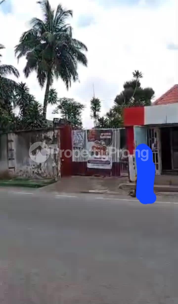Land for sale Along Busy Rd, By Ay Hotel, Behind Excellence Hotel Ogba Gra Ogba Lagos - 0